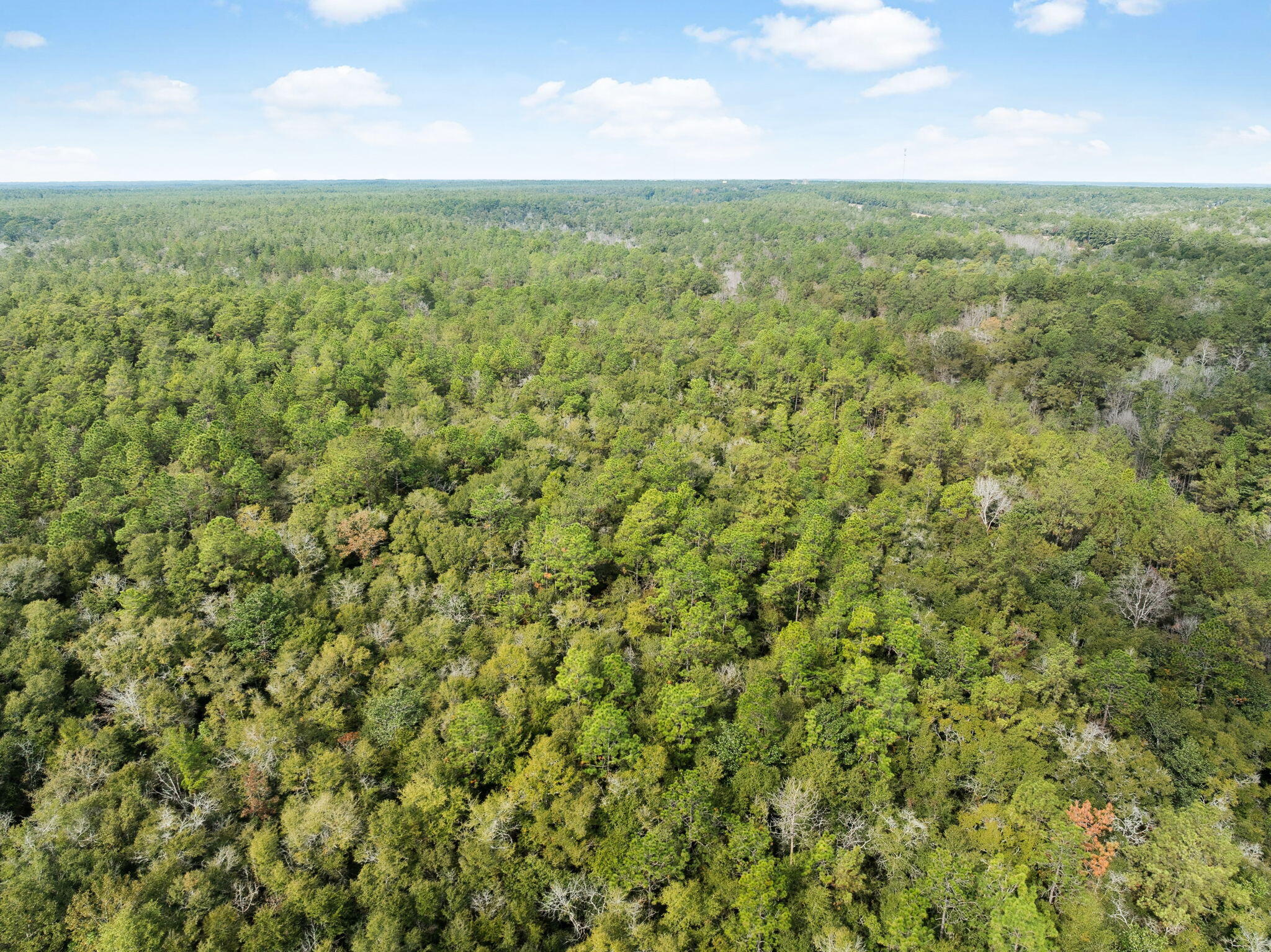 0 Boy Scout Road DeFuniak Springs, FL 32435 - Photo 21 of 27 a view of a field with an outdoor space