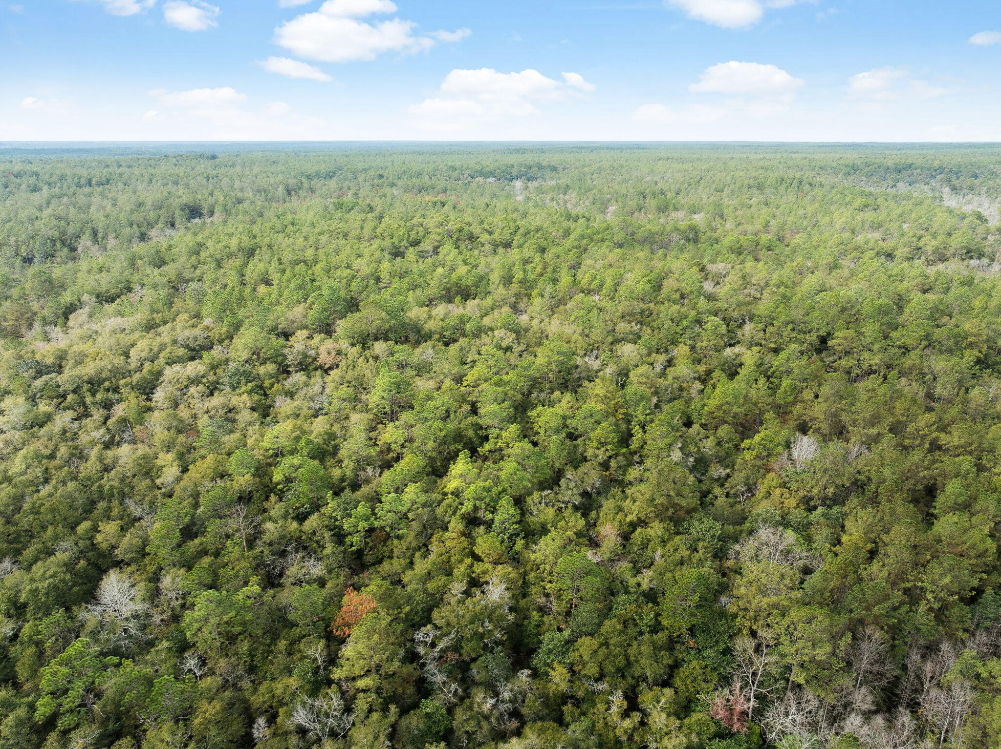 0 Boy Scout Road DeFuniak Springs, FL 32435 - Photo 22 of 27 an aerial view of residential houses with outdoor space and trees