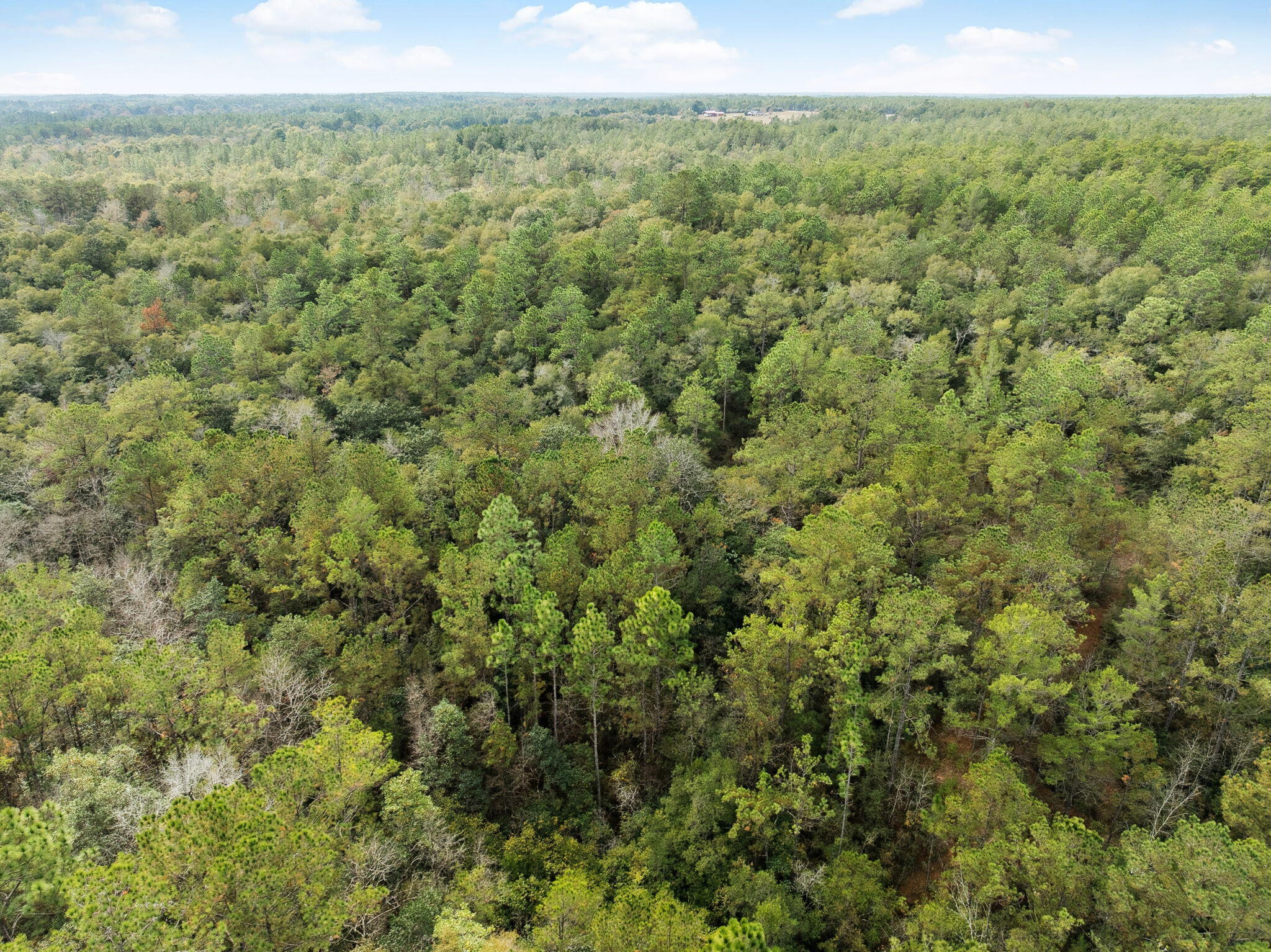 0 Boy Scout Road DeFuniak Springs, FL 32435 - Photo 23 of 27 a view of a city with lush green forest