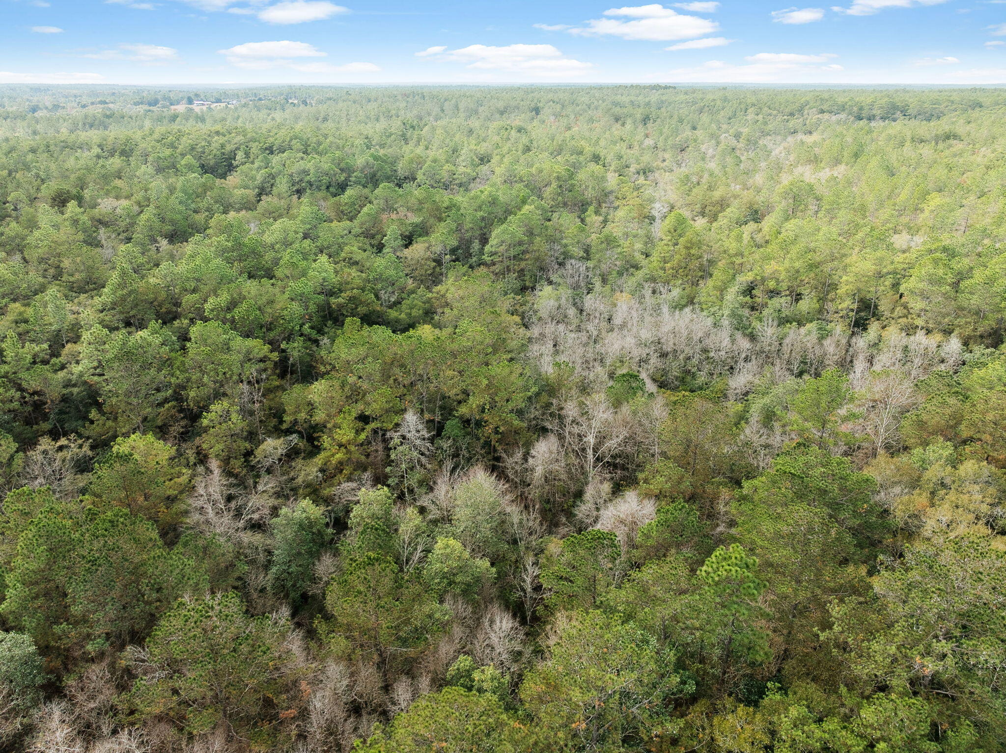 0 Boy Scout Road DeFuniak Springs, FL 32435 - Photo 25 of 27 a view of a city with lush green forest