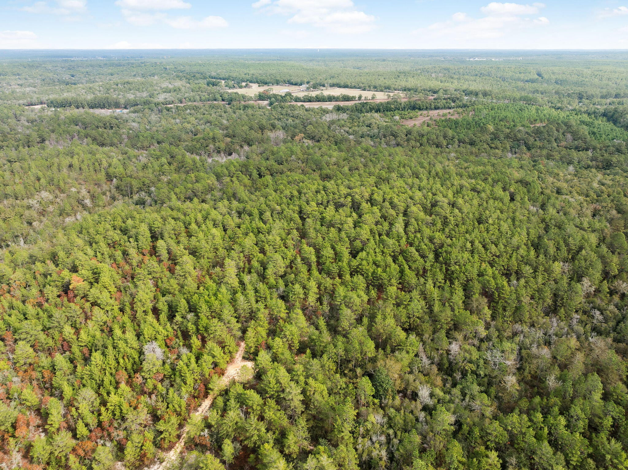 0 Boy Scout Road DeFuniak Springs, FL 32435 - Photo 3 of 27 a view of a city with lush green forest