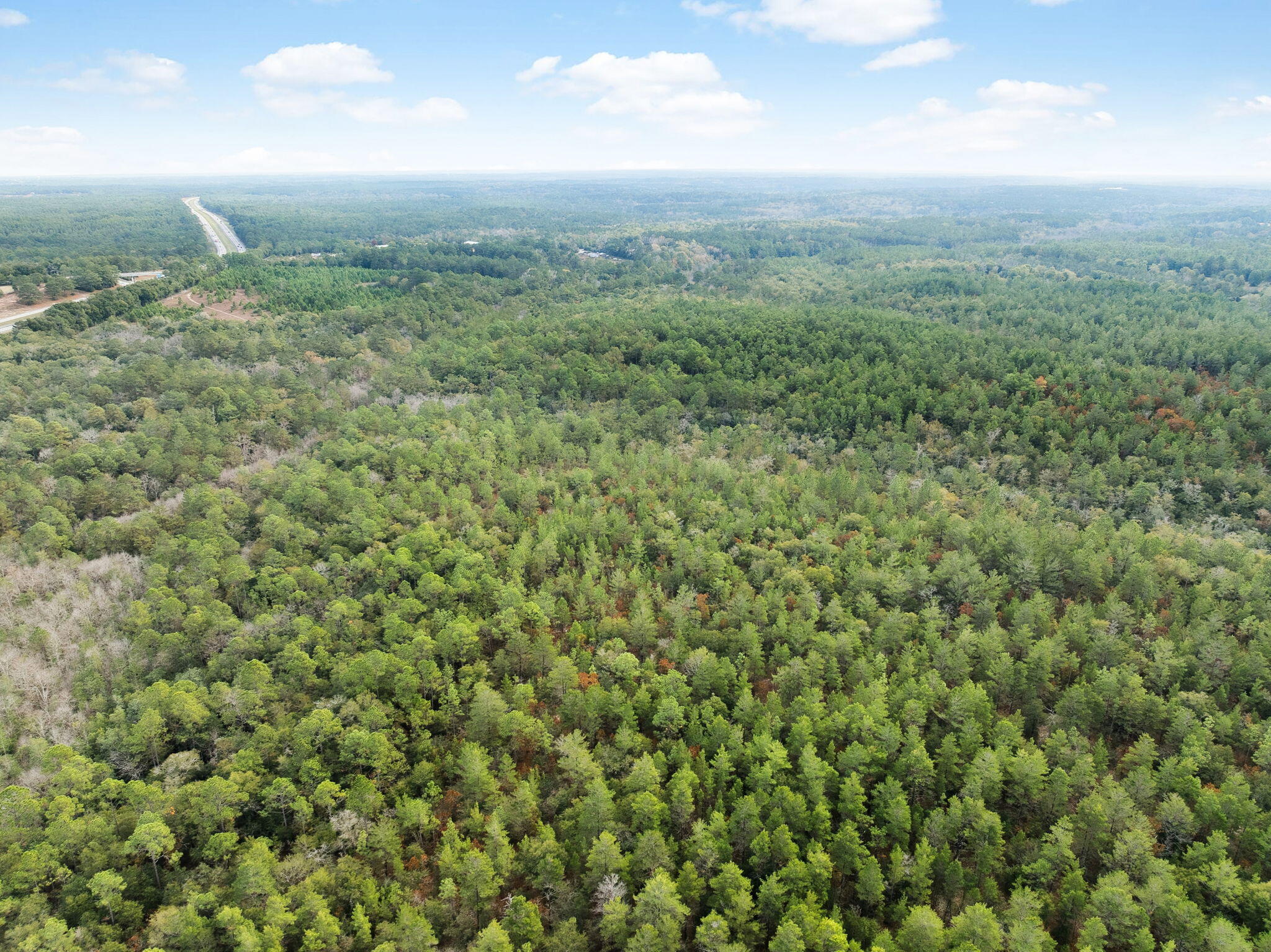 0 Boy Scout Road DeFuniak Springs, FL 32435 - Photo 6 of 27 a view of a green field