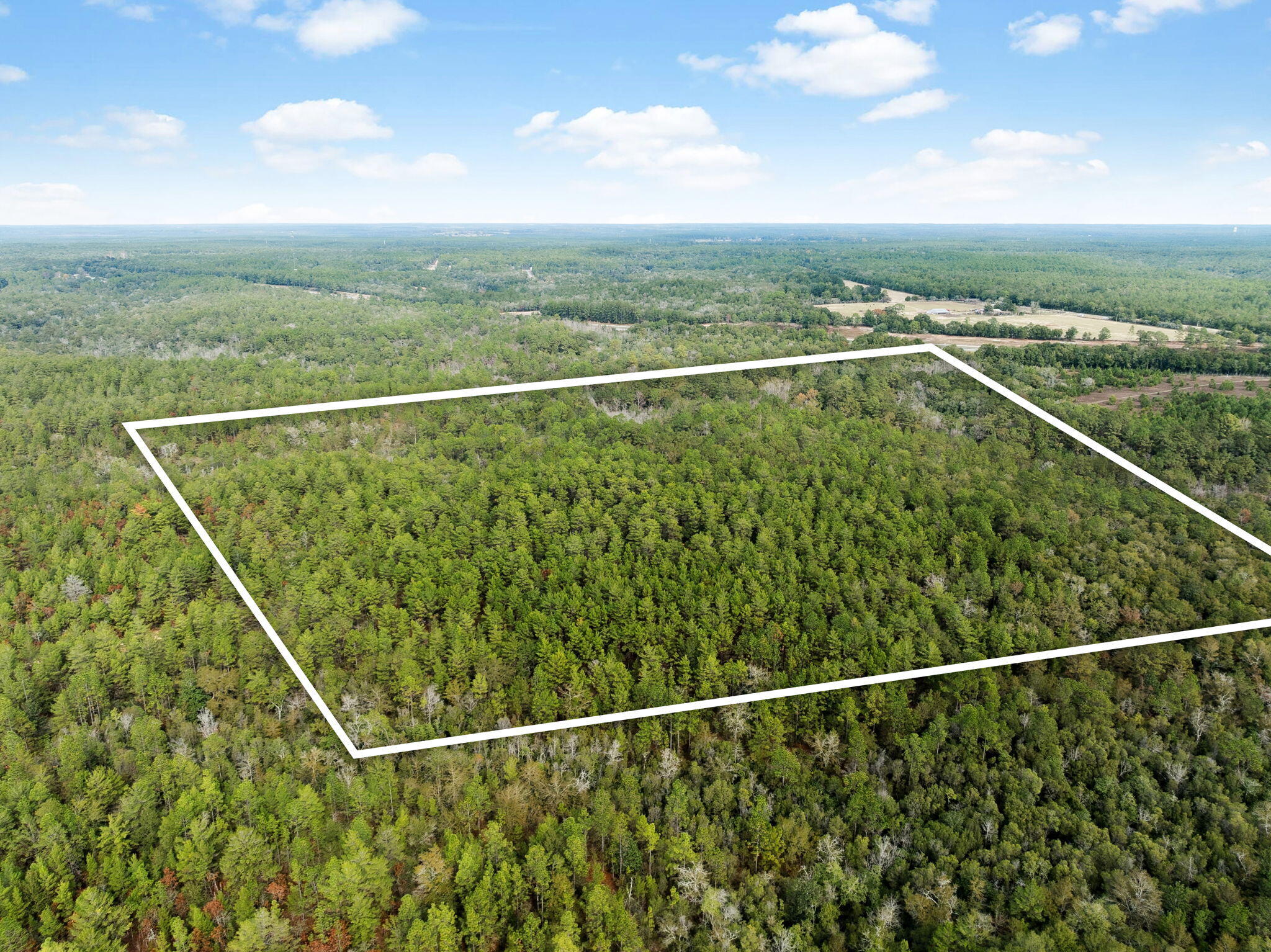 0 Boy Scout Road DeFuniak Springs, FL 32435 - Photo 9 of 27 a view of a balcony