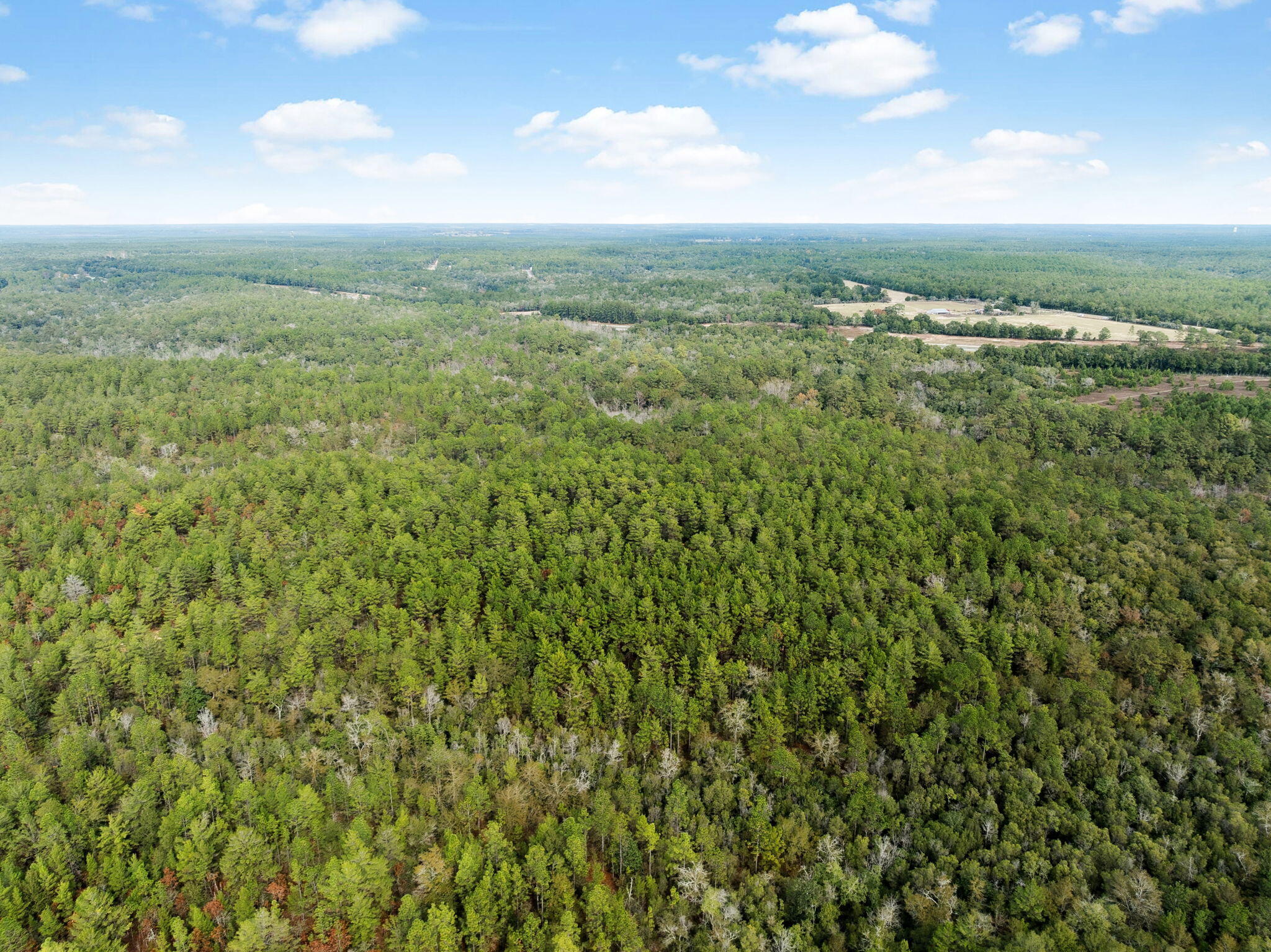 0 Boy Scout Road DeFuniak Springs, FL 32435 - Photo 10 of 27 a view of a city with lush green forest
