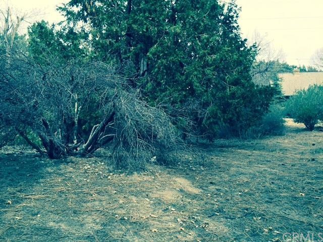 0 Cascade Idyllwild Ca Rialto, CA 92377 - Photo 1 of 1