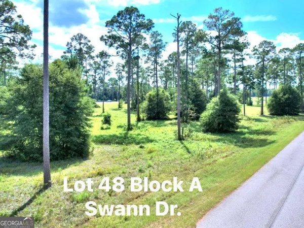 $22,900 | Tbd Swann Dr Lot 48 Block A, Cordele, GA 31015