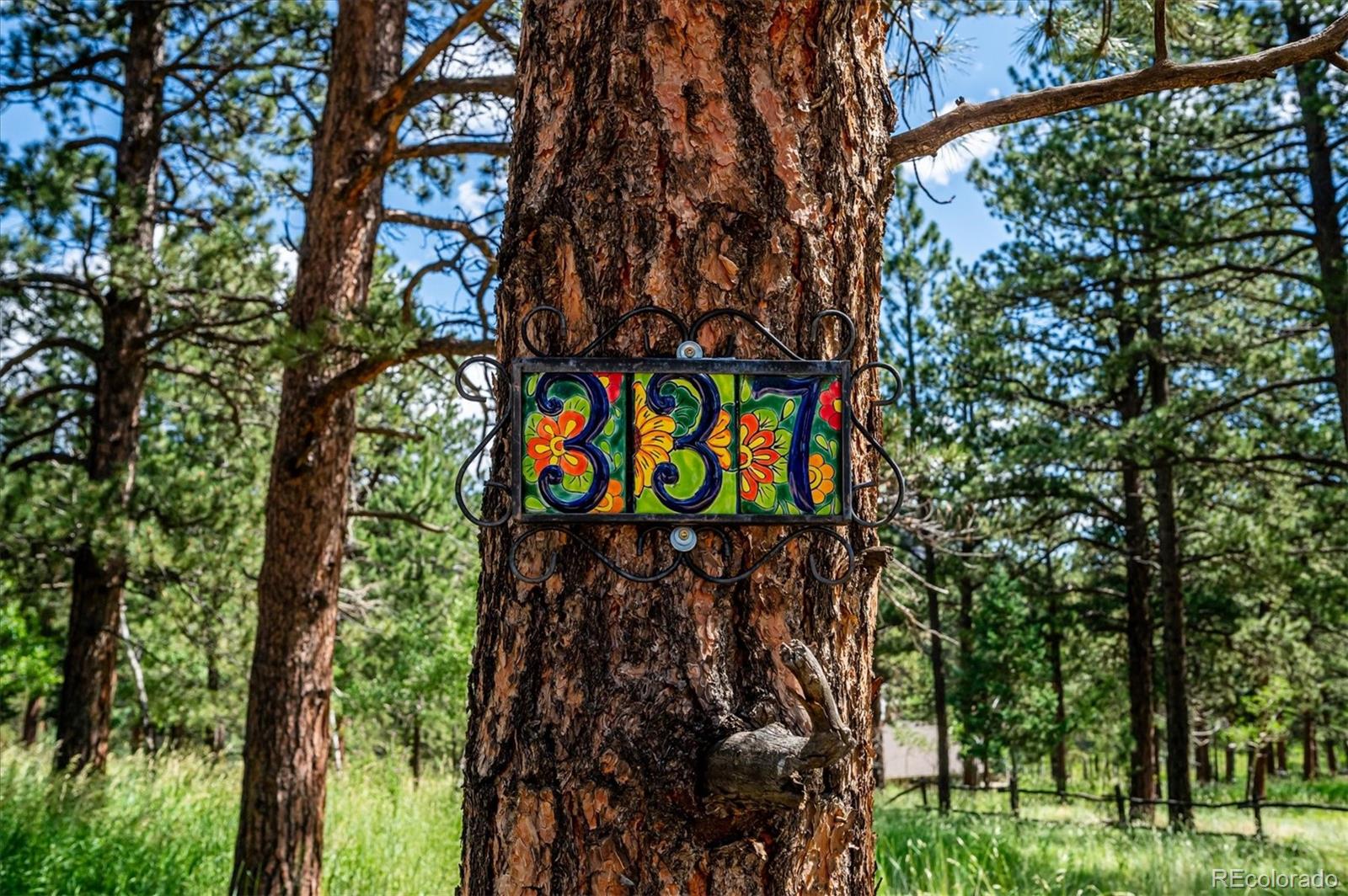 337 Old Corral Road Bailey, CO 80421 - Photo 1 of 38