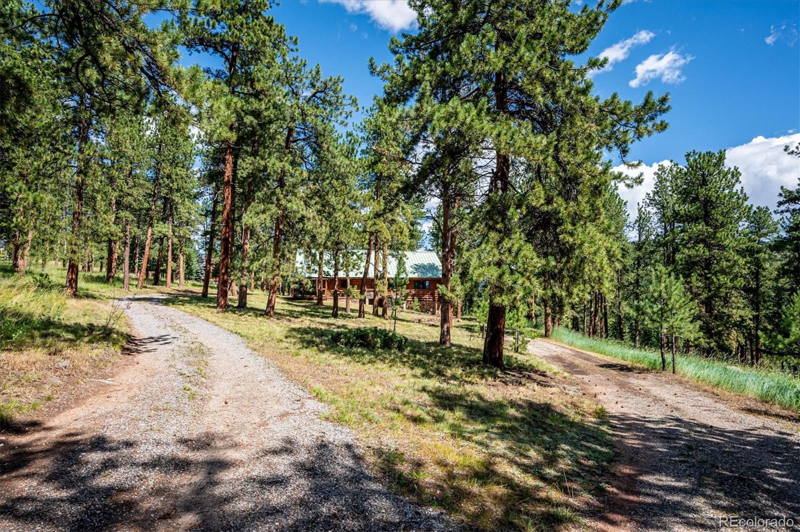 337 Old Corral Road Bailey, CO 80421 - Photo 7 of 38