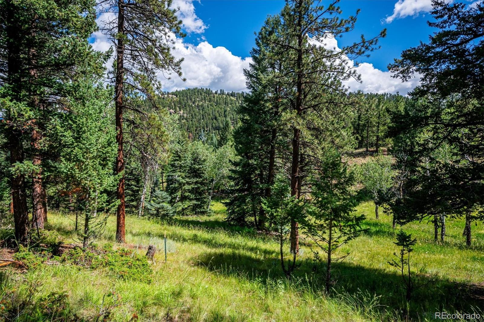 337 Old Corral Road Bailey, CO 80421 - Photo 9 of 38