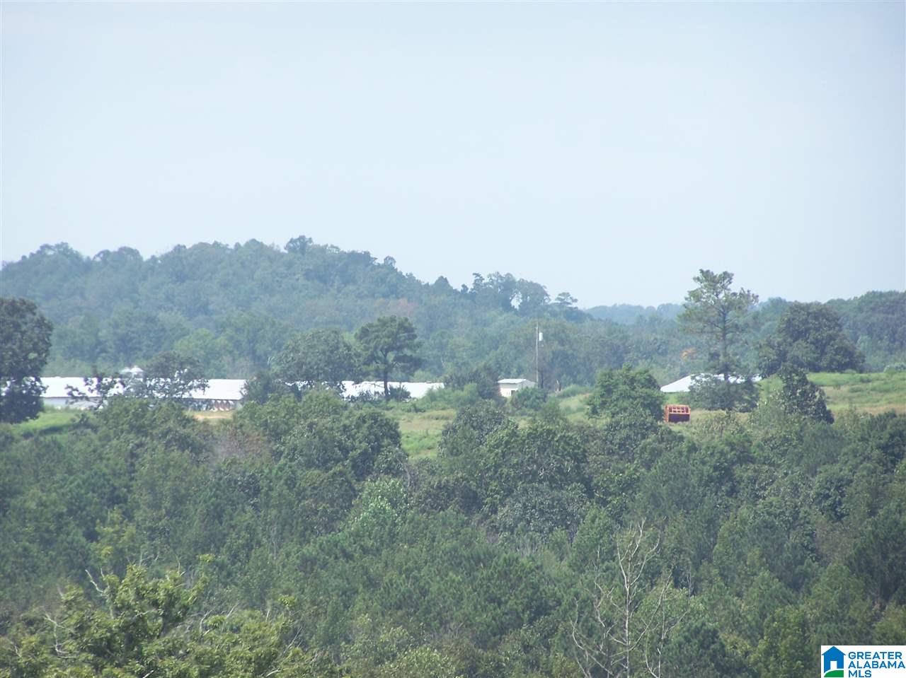 0 Jackson Trail, Unit 140 ACRES Altoona, AL 35952 - Photo 14 of 50