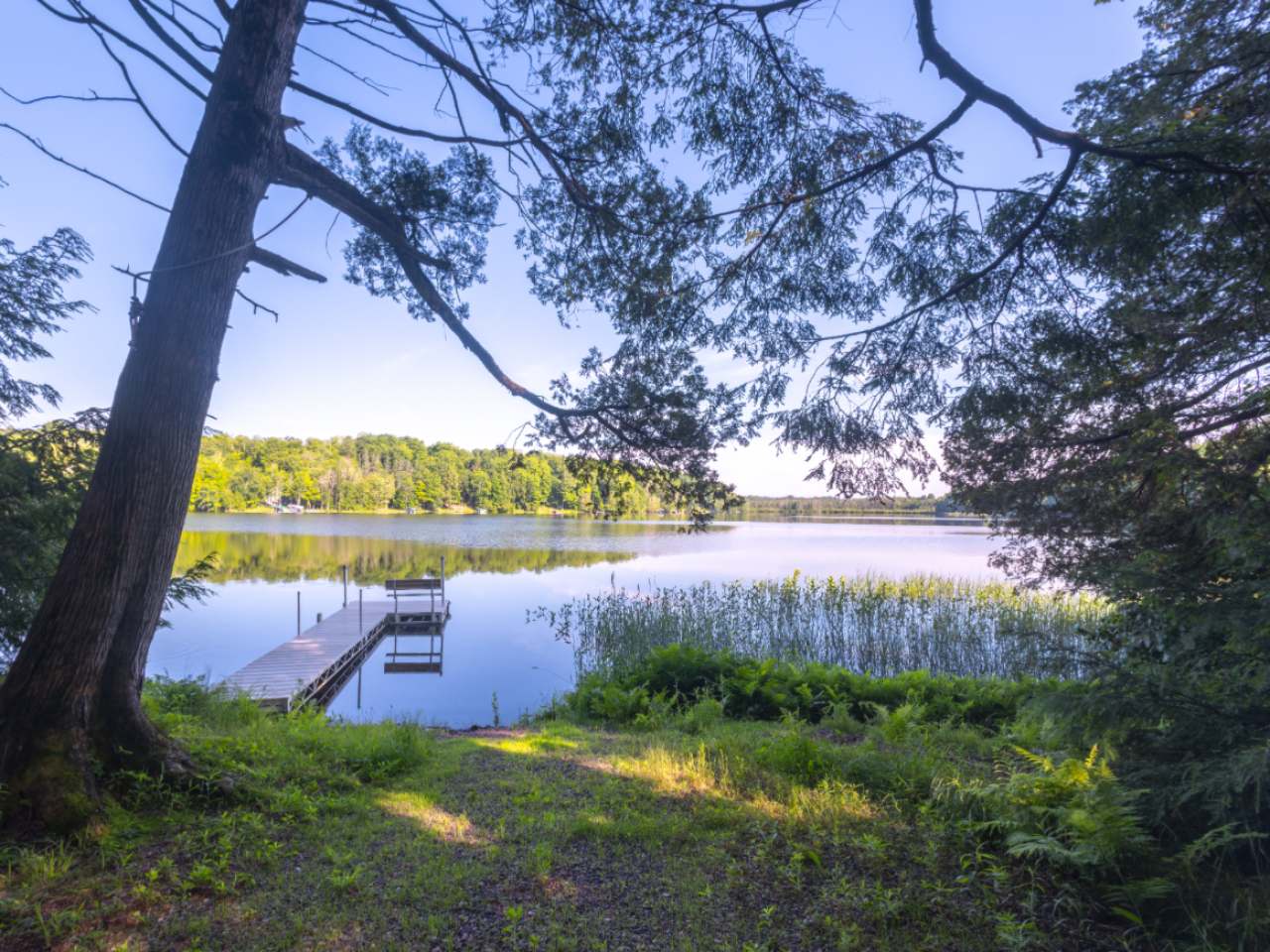 N217 Highview Lane Rib Lake, WI 54470 - Photo 57 of 64 Gallery Image 57