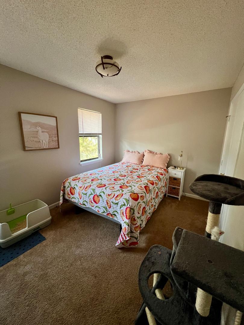 821 Barringer Drive, Unit A Raleigh, NC 27606 - Photo 7 of 8 a bedroom with bed and a window