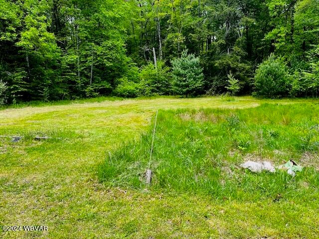 2322 Gap Road Allenwood, PA 17810 - Photo 7 of 10 Gallery Image 7