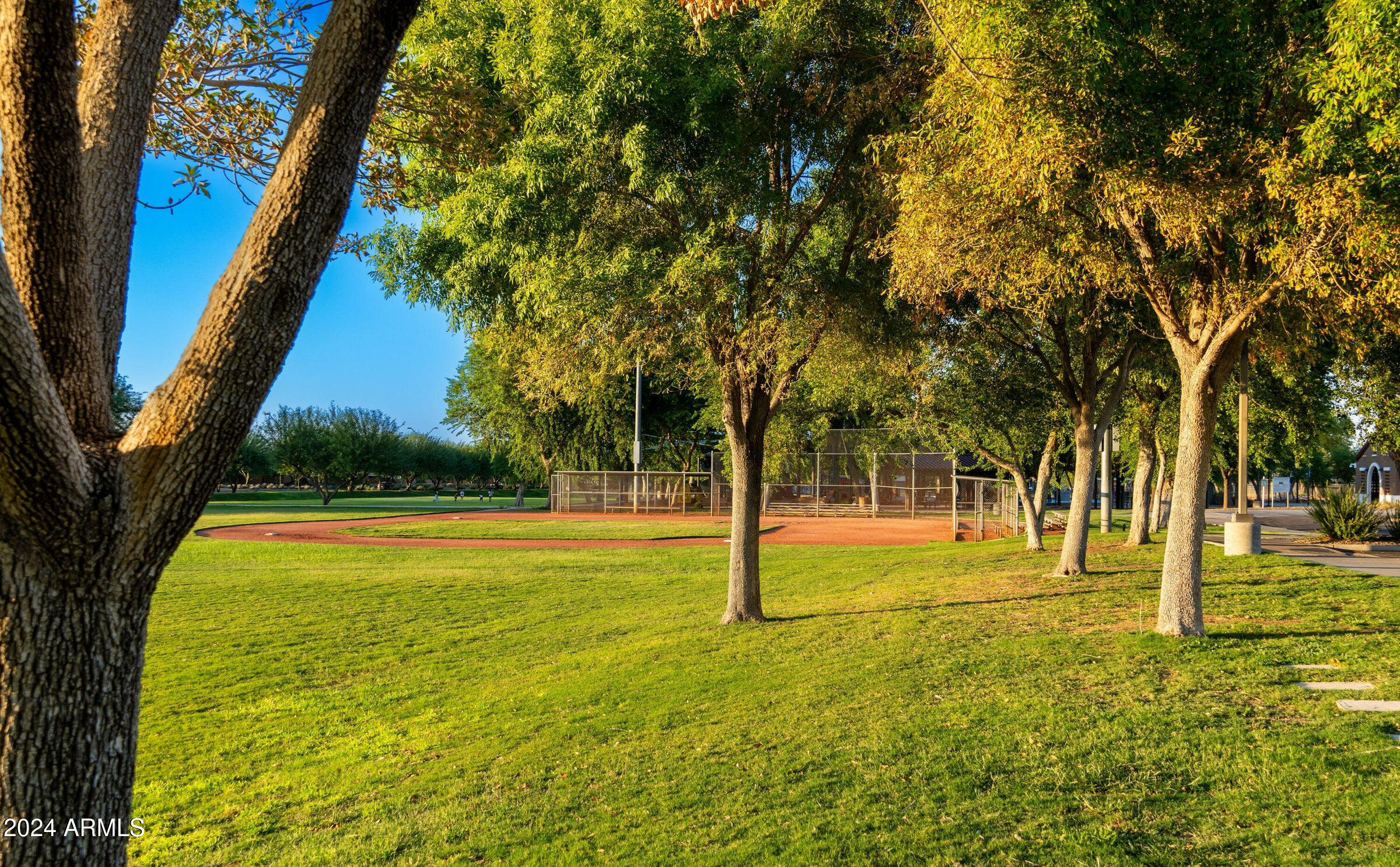 20226 North 260th Drive Buckeye, AZ 85396 - Photo 108 of 109 View Across Sport Fields