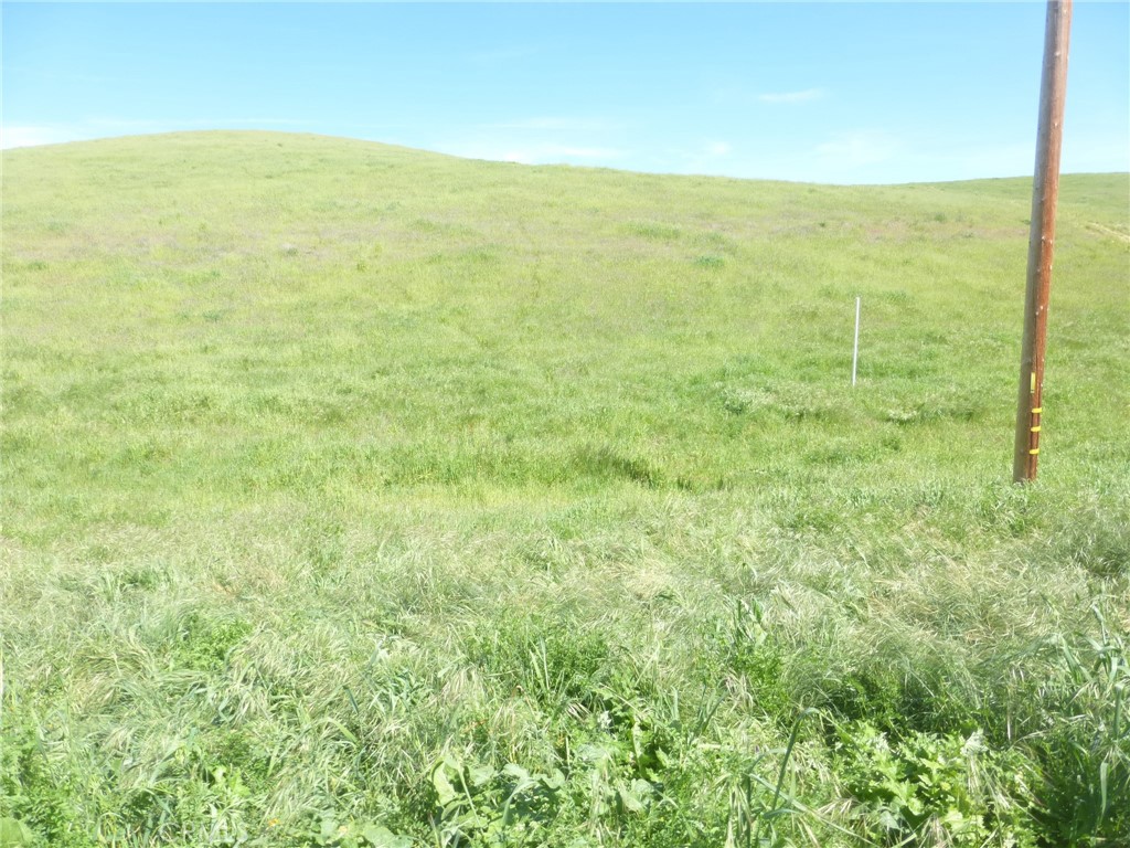 0 Douglas Road San Miguel, CA 93451 - Photo 12 of 27