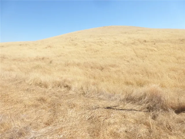 $95,000 | 0 Douglas Road, San Miguel, CA 93451