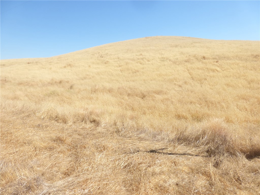 0 Douglas Road San Miguel, CA 93451 - Photo 12 of 14