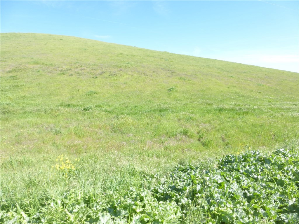 0 Douglas Road San Miguel, CA 93451 - Photo 14 of 27