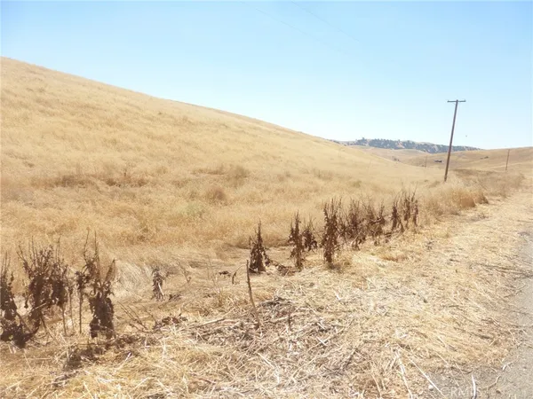 $95,000 | 0 Douglas Road, San Miguel, CA 93451