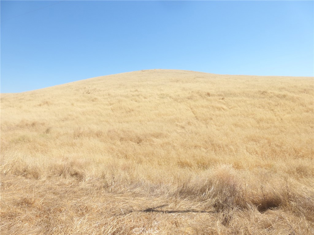 0 Douglas Road San Miguel, CA 93451 - Photo 26 of 27