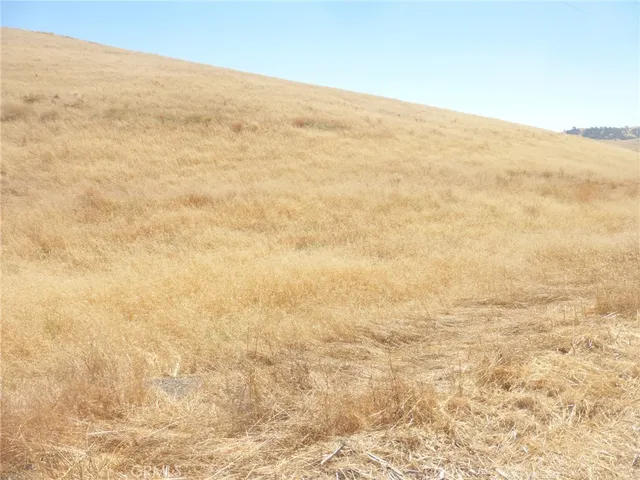 $95,000 | 0 Douglas Road, San Miguel, CA 93451