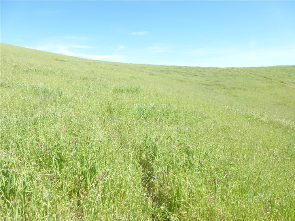 0 Douglas Road San Miguel, CA 93451 - Photo 5 of 27