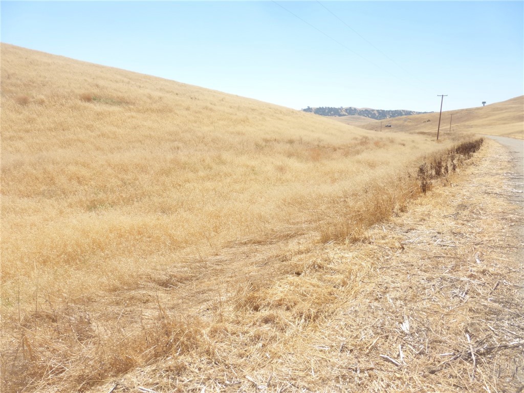 0 Douglas Road San Miguel, CA 93451 - Photo 6 of 14