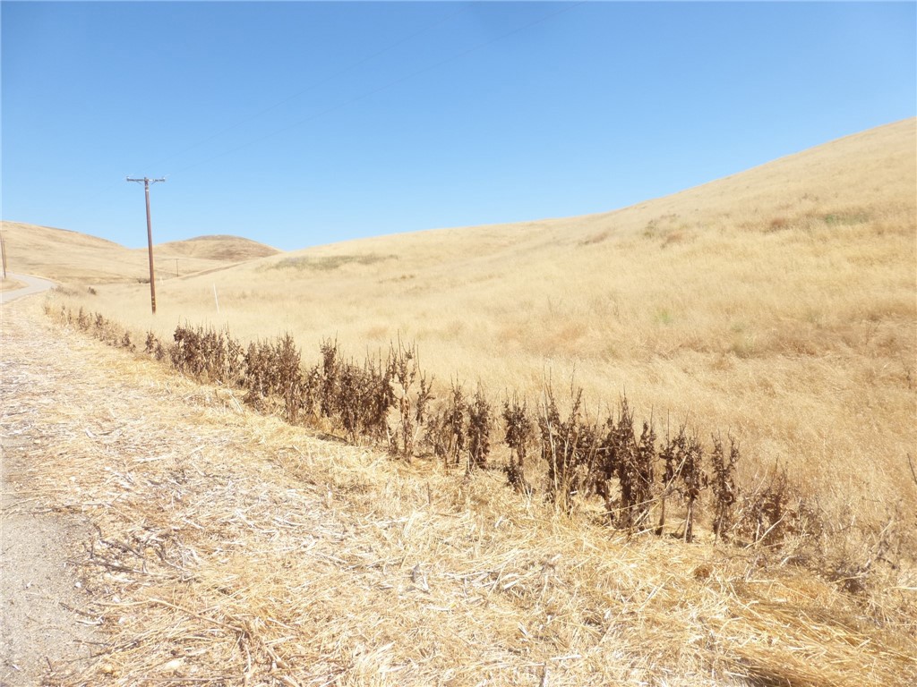 0 Douglas Road San Miguel, CA 93451 - Photo 8 of 14