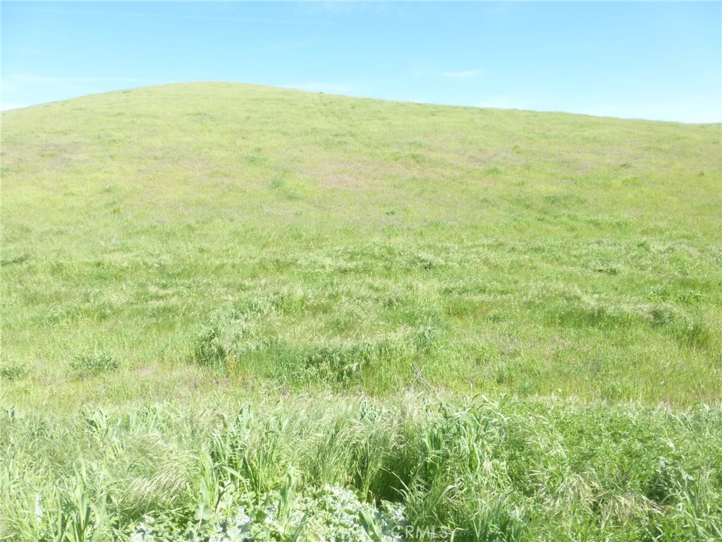 0 Douglas Road San Miguel, CA 93451 - Photo 9 of 27