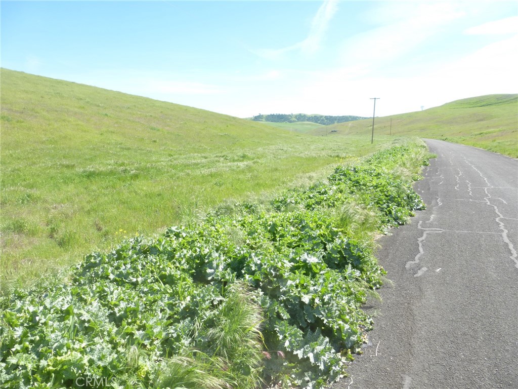 0 Douglas Road San Miguel, CA 93451 - Photo 10 of 27