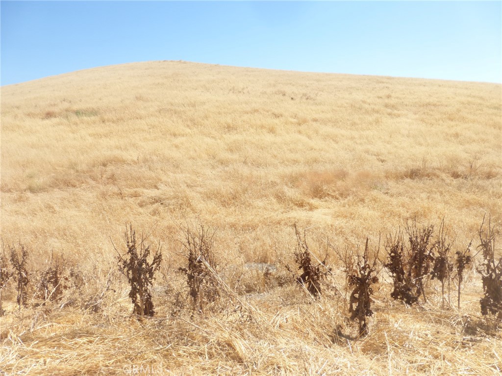 0 Douglas Road San Miguel, CA 93451 - Photo 10 of 14