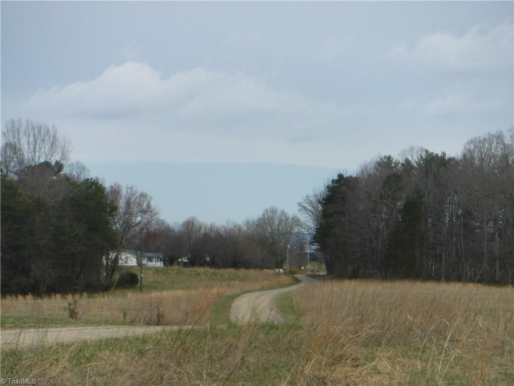 600 Wagon Ridge Road Ronda, NC 28670 - Photo 2 of 10 Gallery Image 2