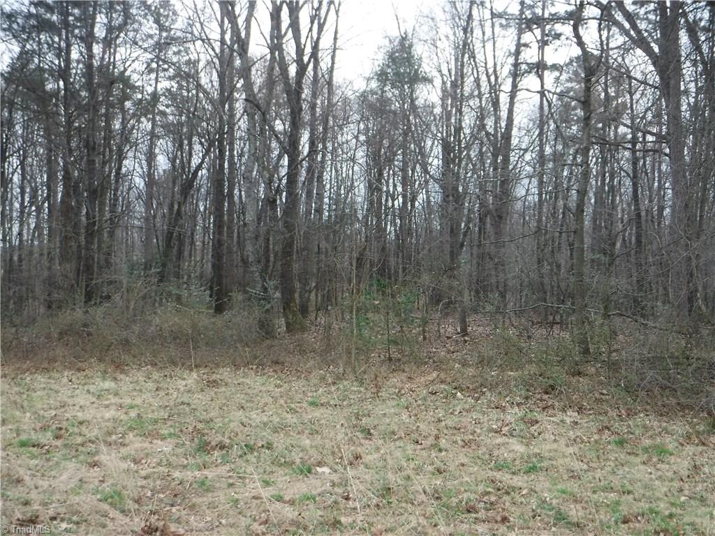 600 Wagon Ridge Road Ronda, NC 28670 - Photo 3 of 10 Gallery Image 3