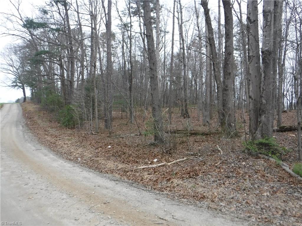 600 Wagon Ridge Road Ronda, NC 28670 - Photo 9 of 10 Gallery Image 9
