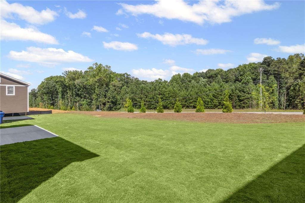 104 Alpine Court Dallas, GA 30132 - Photo 31 of 36