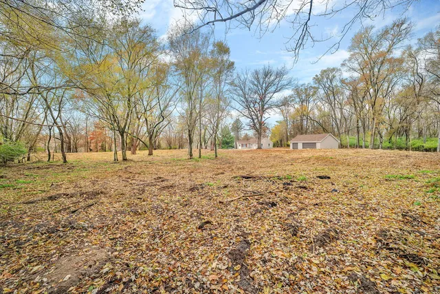 a view of empty space with trees
