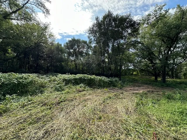 a view of backyard with green space