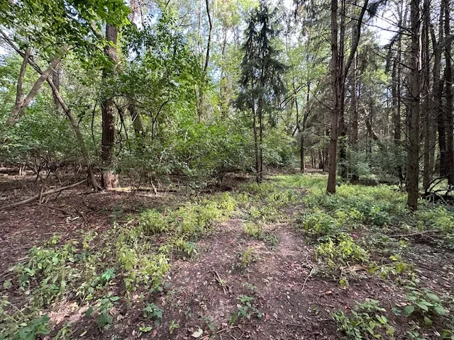 a view of outdoor space and green space