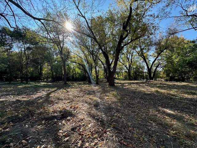 a view of outdoor space with trees