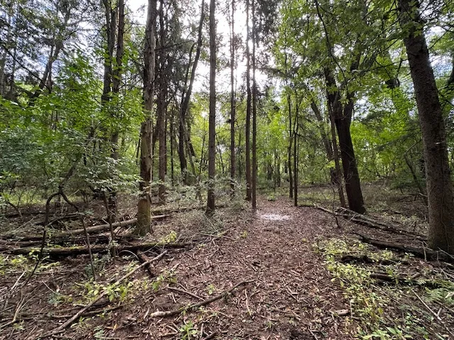 a view of outdoor space and trees