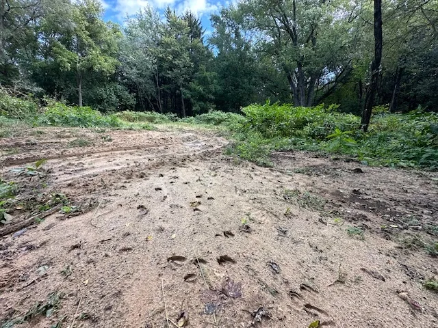 a backyard of a house with lots of green space