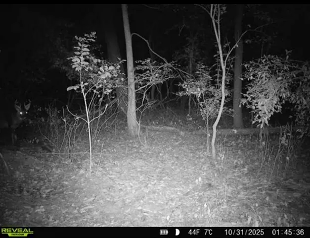 $349,900 | 34531 South Lakeside Terrace, Wilmington, IL 60481