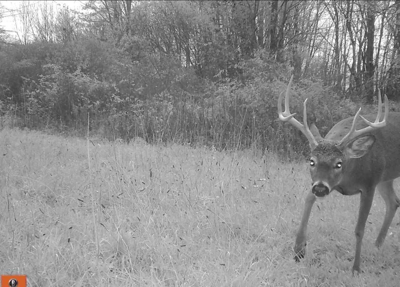 Parcel #1 Parcel Road Comstock Park, MI 49321 - Photo 21 of 24