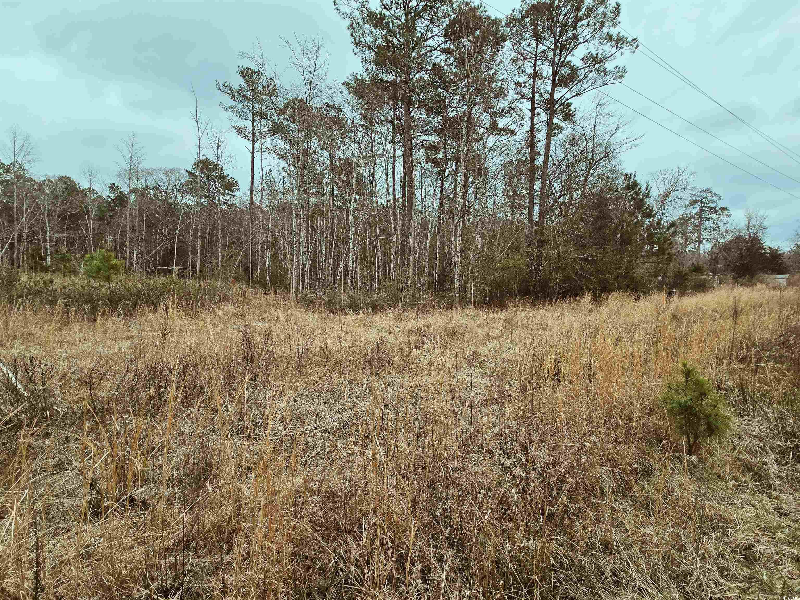2250 Highway 66 Loris, SC 29569 - Photo 1 of 5 Gallery Image 1