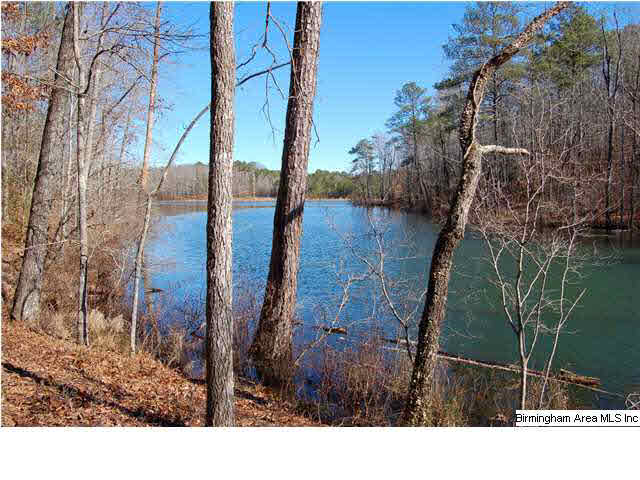 5 Highway Ac Al, Unit 96 23 Woodstock, AL 35188 - Photo 4 of 20