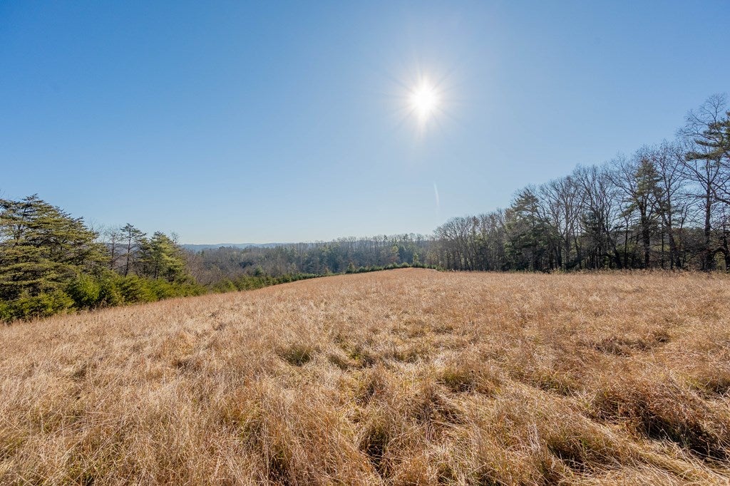 1530 Ridge Road Austinville, VA 24312 - Photo 41 of 62 Gallery Image 41