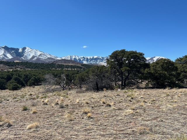 3 B Majors Ranch Road Walsenburg, CO 81089 - Photo 45 of 54