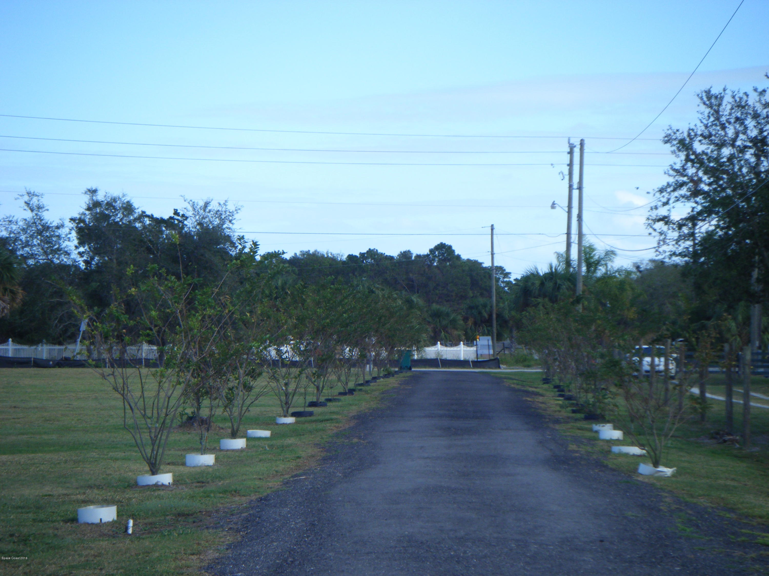 DSCF5046