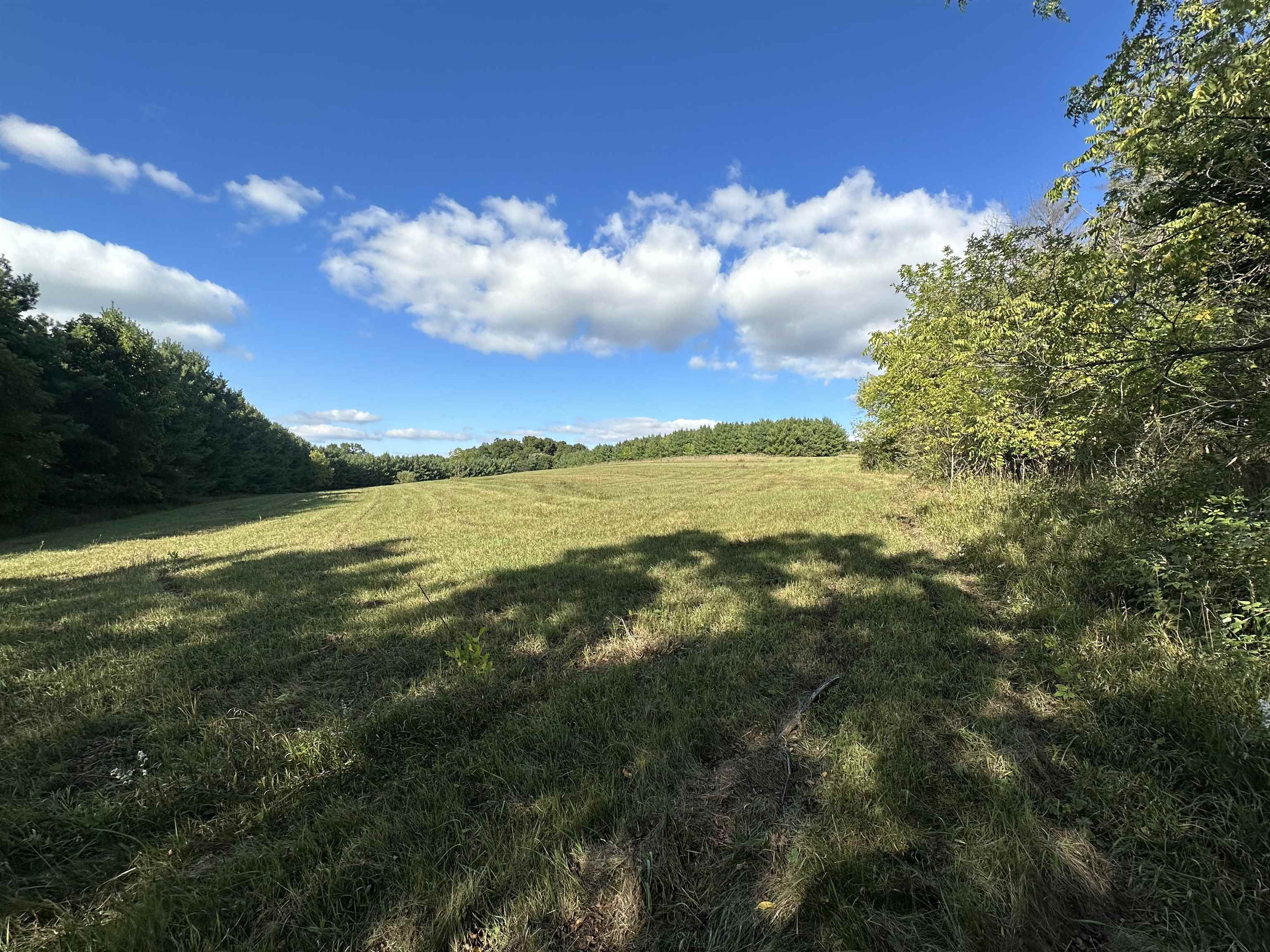 Lot 2 Ben Franklin Street Verona, WI 53593 - Photo 4 of 8