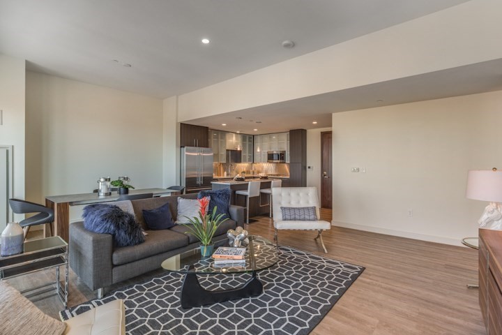 1 Canal Street, Unit 1202 Boston, MA 02114 - Photo 3 of 12 a living room with furniture and a rug